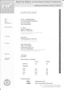 2011-07-19 certificaat ellebogen 001