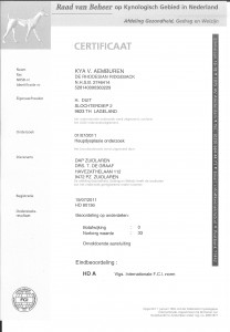 2011-07-19 certificaat heupen 001 (2)