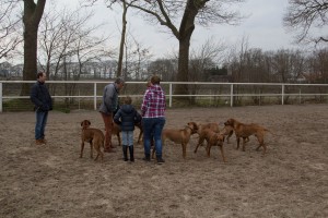 naamloos-2920