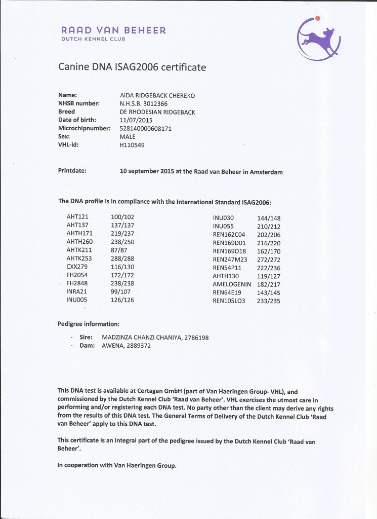 DNA certificaat Misha