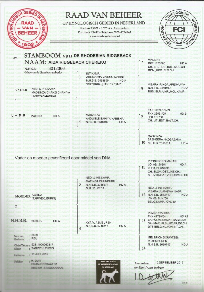 Stamboom Misha